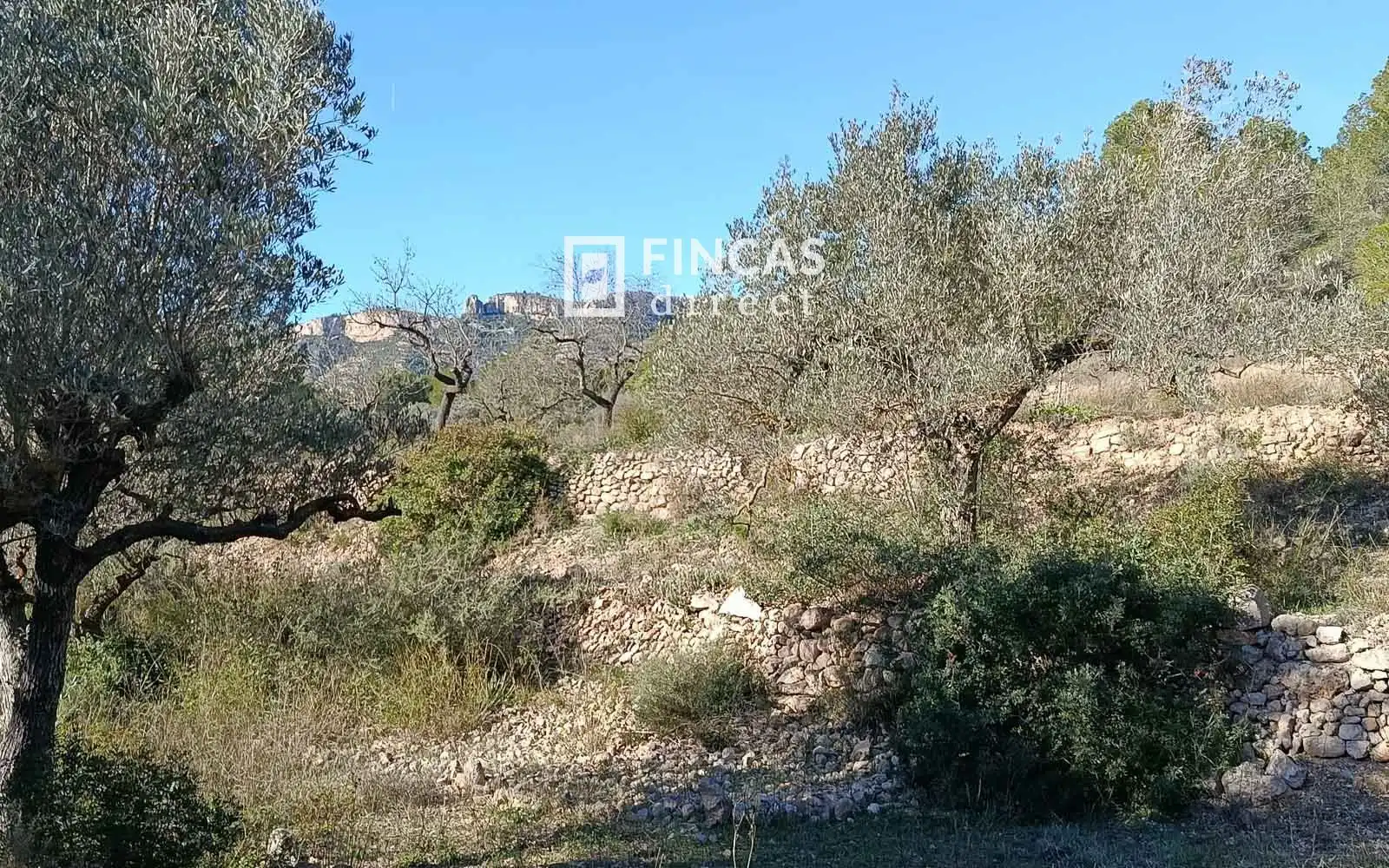 Finca rústica en venta en Miravet