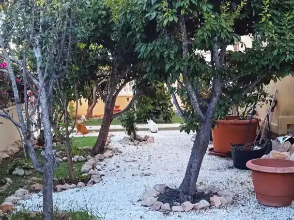Pis en venda en Orihuela amb Aire condicionat i Terrassa