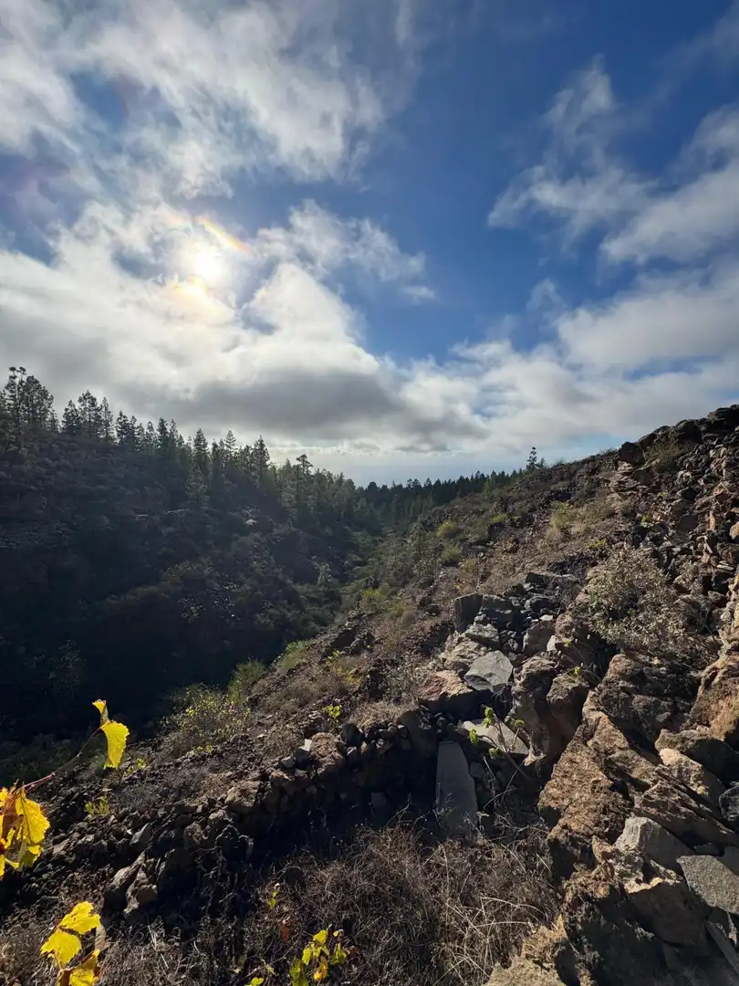 Vista exterior de Finca rústica en venta en Granadilla de Abona