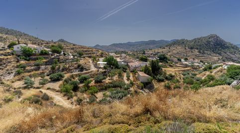 Foto 3 de Casa o xalet en venda a Fortuna, Murcia