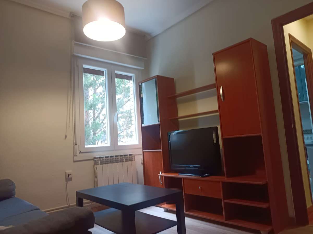 Living room of Flat to rent in Vitoria - Gasteiz  with Furnished