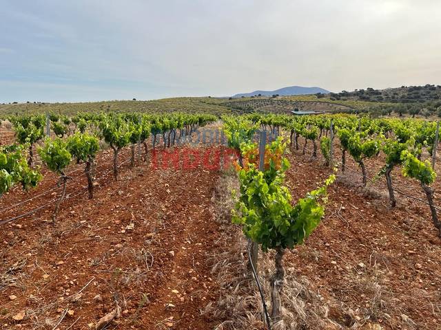 Finca rústica en Venta en Villar del Pedroso