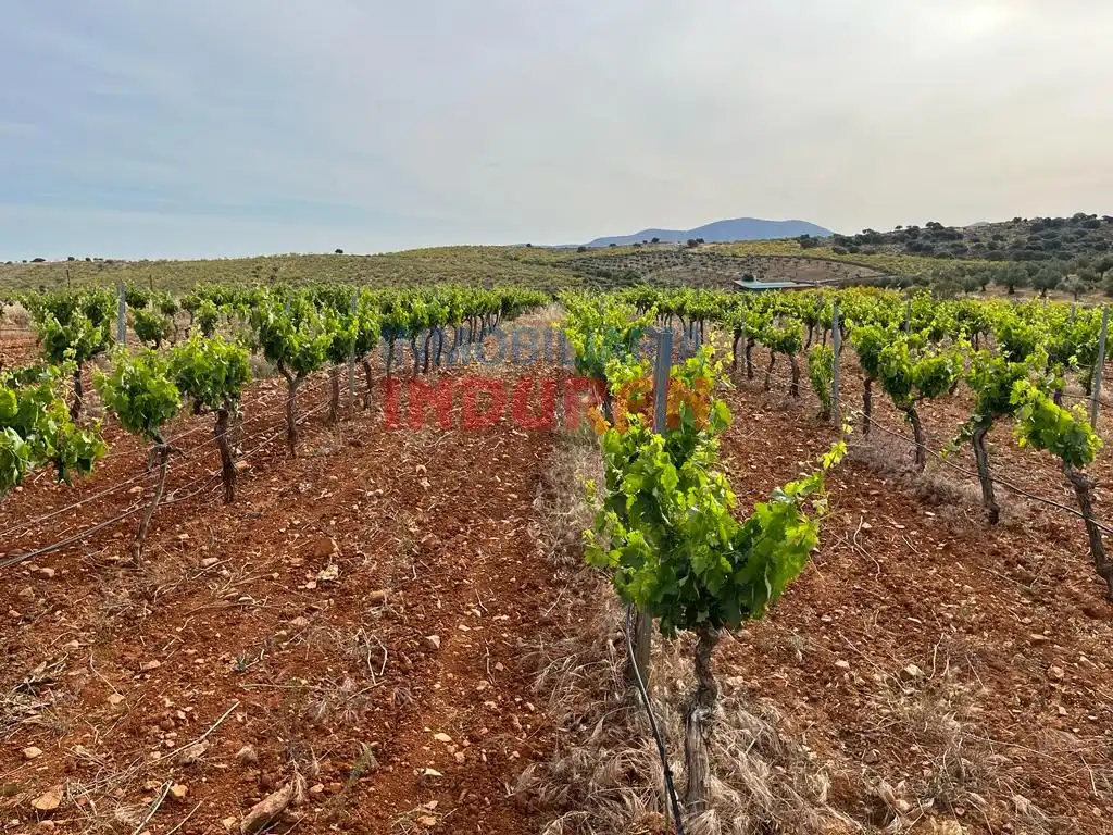 Casa rústica en venda a Villar del Pedroso