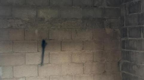 Foto 3 von Residential zur Miete in Robin, El Sobradillo,  Santa Cruz de Tenerife Capital