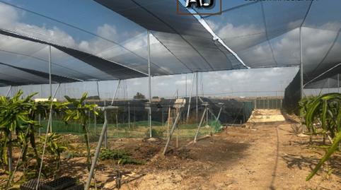 Foto 5 von Grundstücke zur Miete in Avenida de Los Alcázares, Torre-Pacheco ciudad, Torre-Pacheco