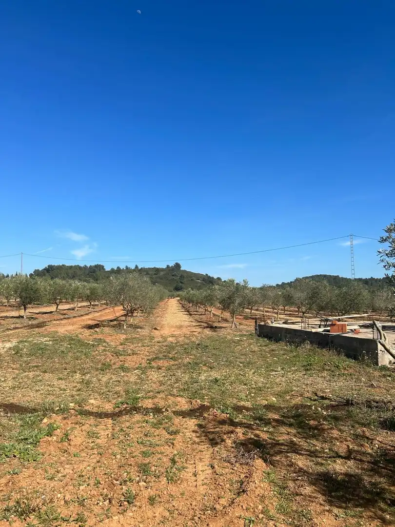 Terreno en venta en BARONA, Vall d'Alba
