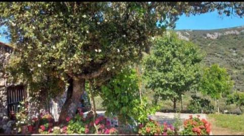 Foto 3 de Residencial en venda a Cc-20.2, Villar del Pedroso, Cáceres