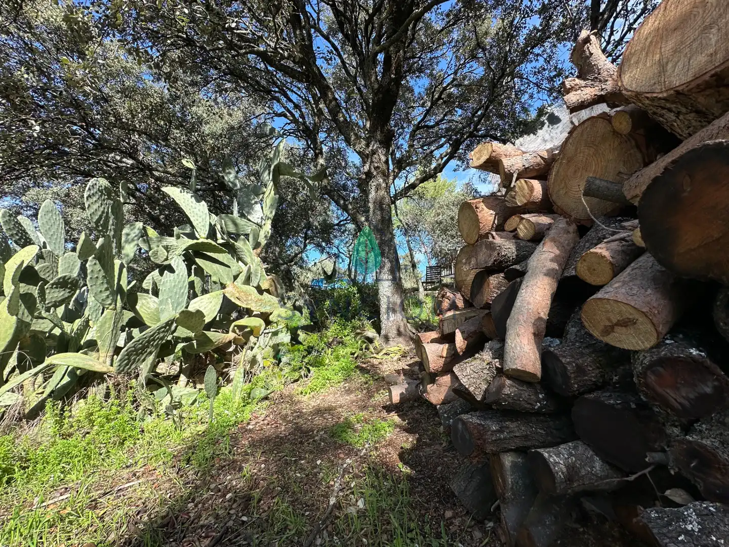 Casa o xalet en venda a Calle Castillo de Guadamur, Cerro Alarcón