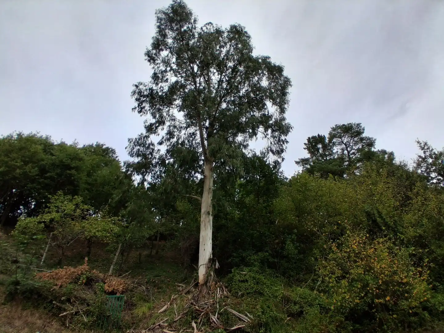 Casa o xalet en venda en Laudio / Llodio, Araba - Álava