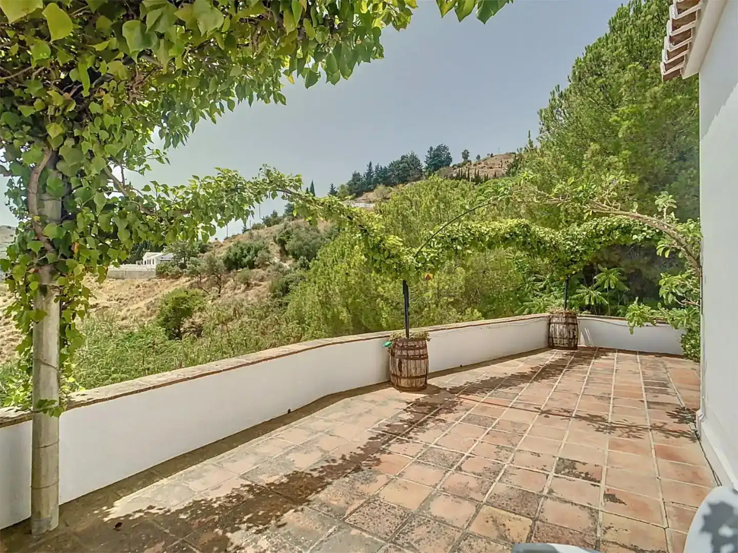 Finca rústica en venda a Camino de Benamayor, 115o, Cómpeta