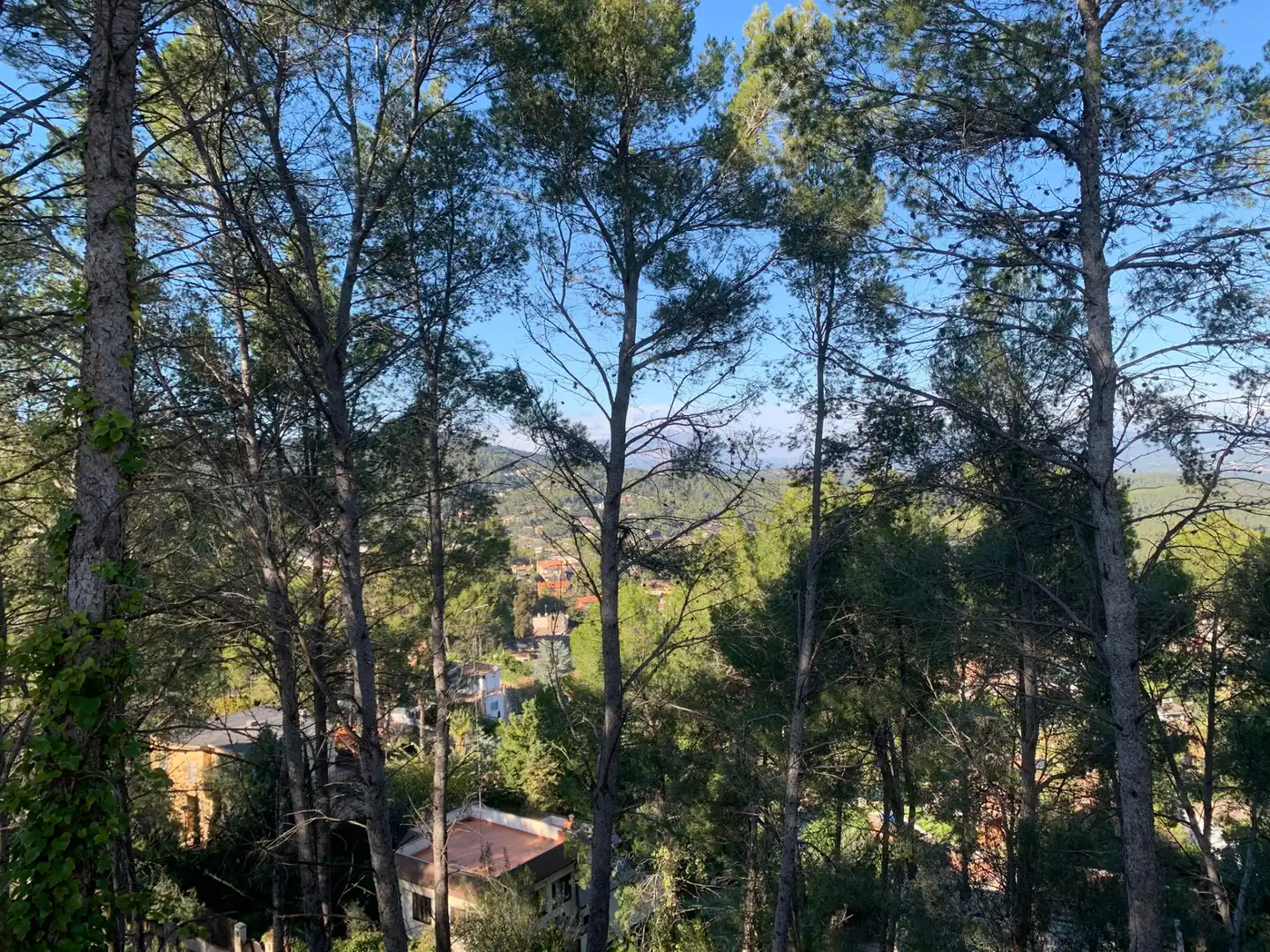 Haus mit Pool zum Verkauf in Corbera de Llobregat, imagen 41