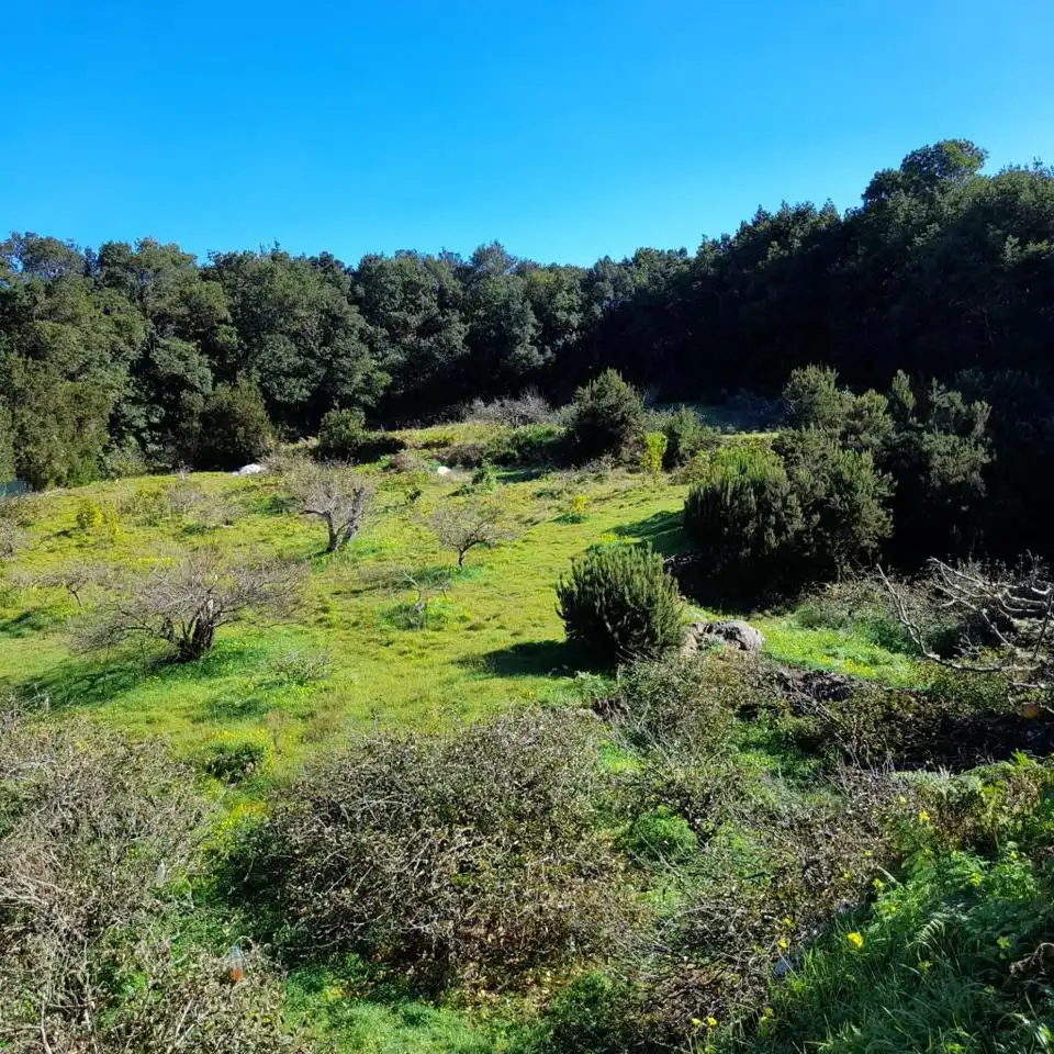 Rural land for sale in Hoya De Manzaneros, imagen 6