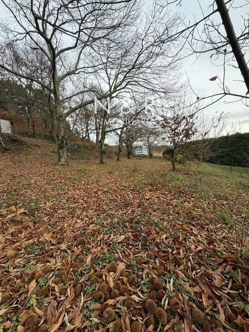 Casa o xalet en venda en Teo amb Calefacció i Moblat