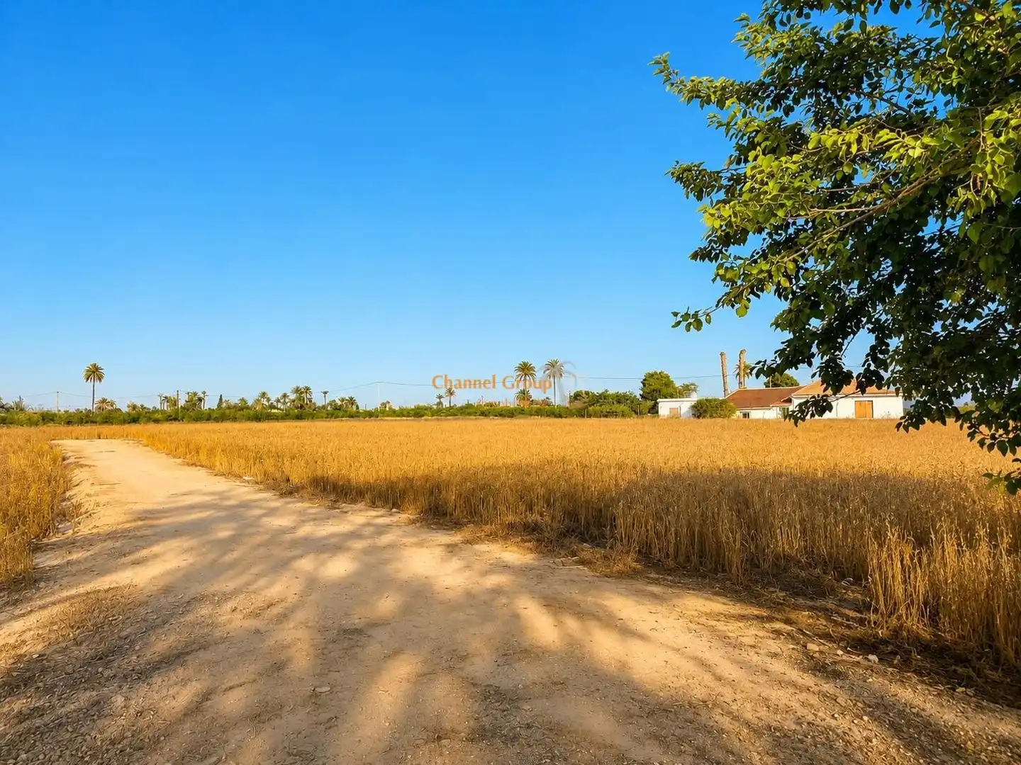 Land for sale in Elche / Elx