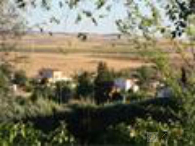 Residencial en venta en Barajas de Melo