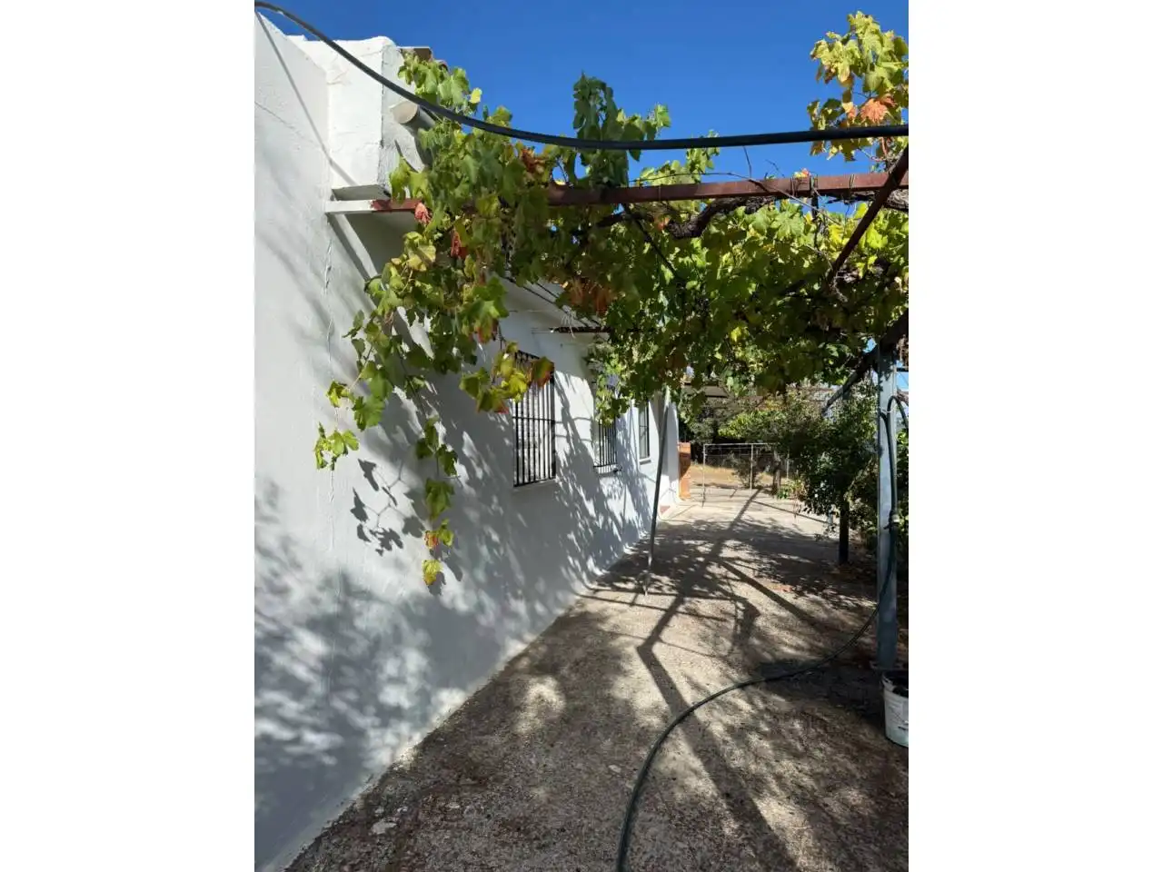 Casa rustica in vendita a Benalauría, imagen 11