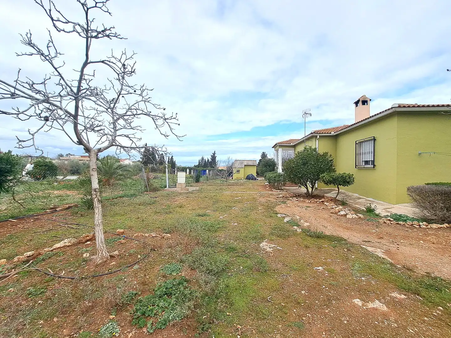 Terreny rústic en venda a Moraleda de Zafayona, imagen 9