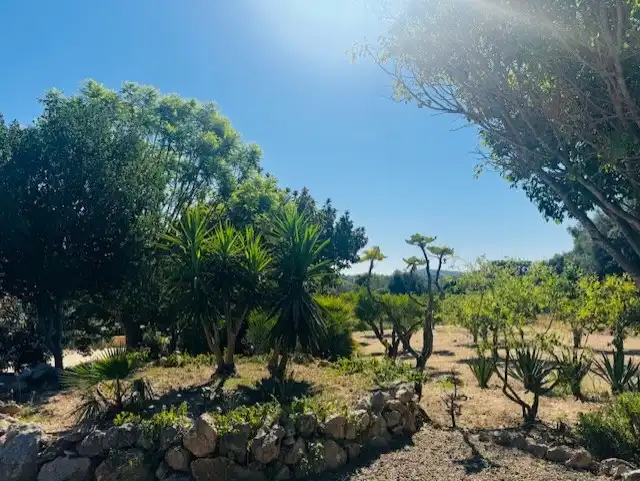 Country homes for sale in Manacor  with Air Conditioner, Private garden and Terrace