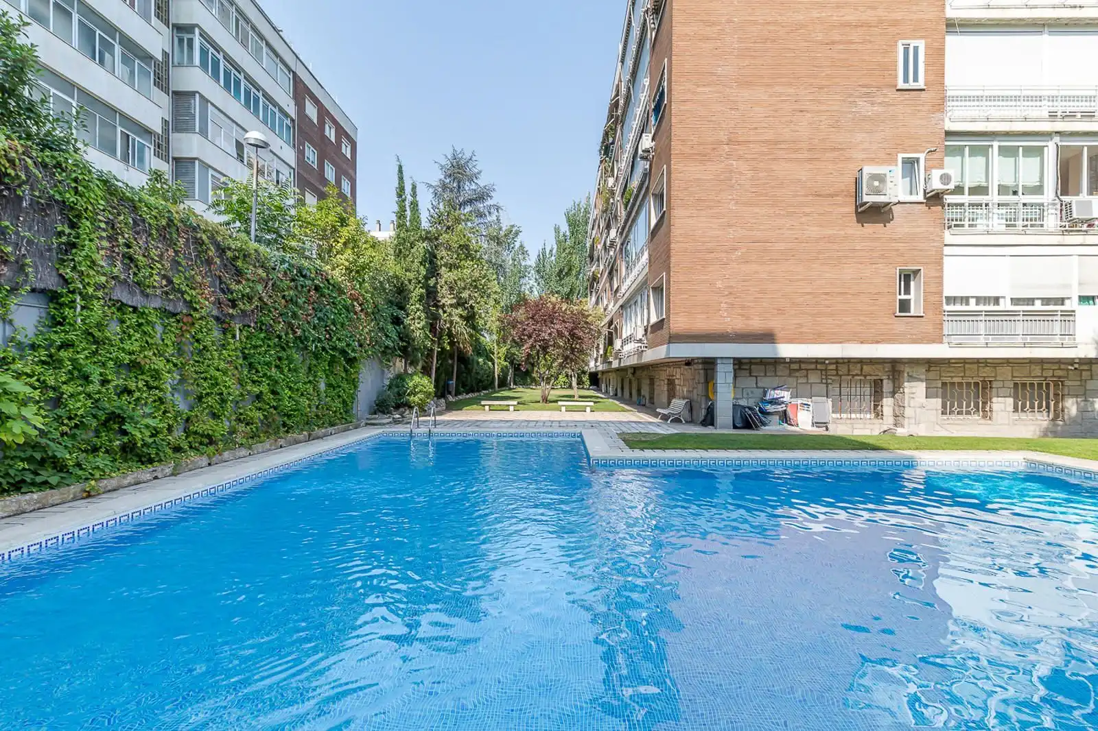Swimming pool of Flat for rent in Madrid  with Furnished and Community pool