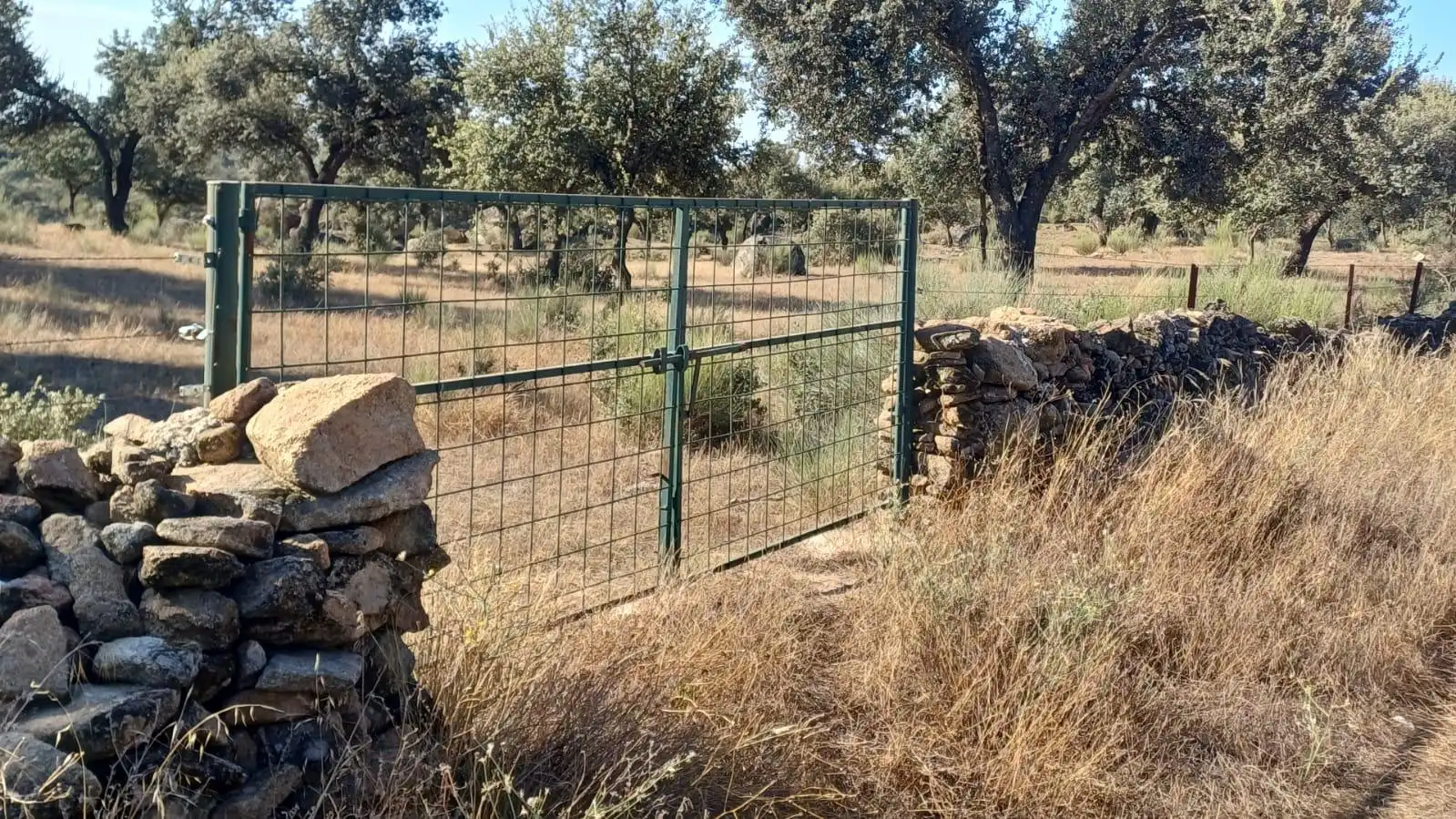 Land for sale in Santibáñez el Bajo
