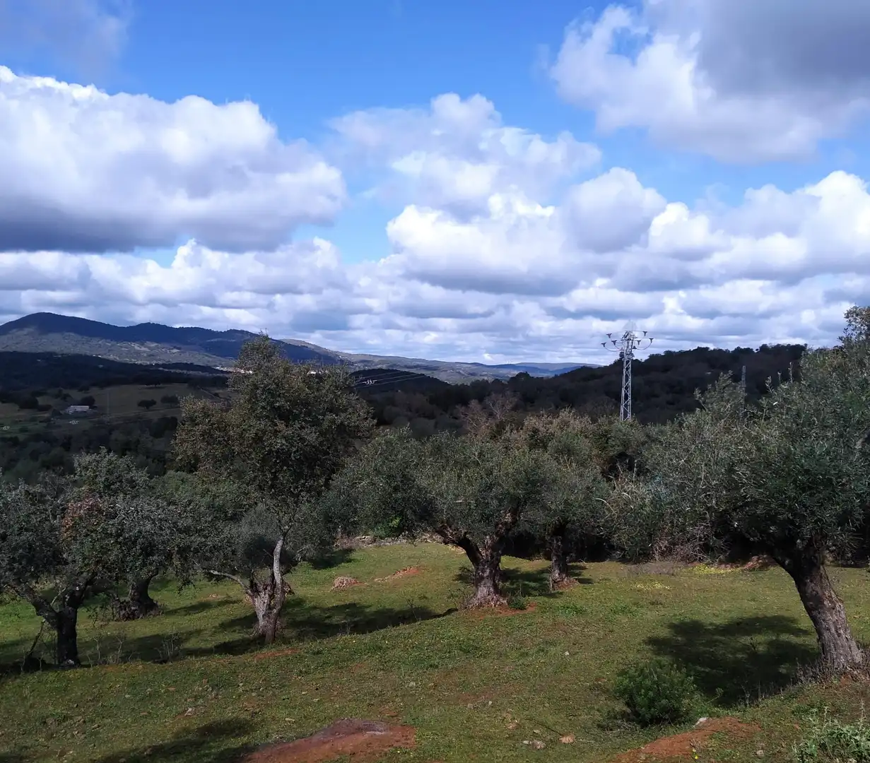 Terreni e lotti in vendita a Jerez de los Caballeros, imagen 7