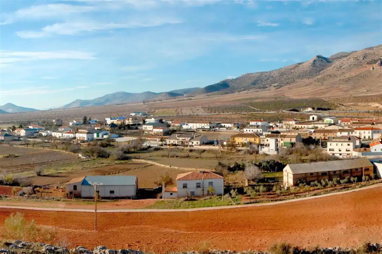 Exterior view of Houses for sale in Cúllar  with Storage room and Swimming Pool