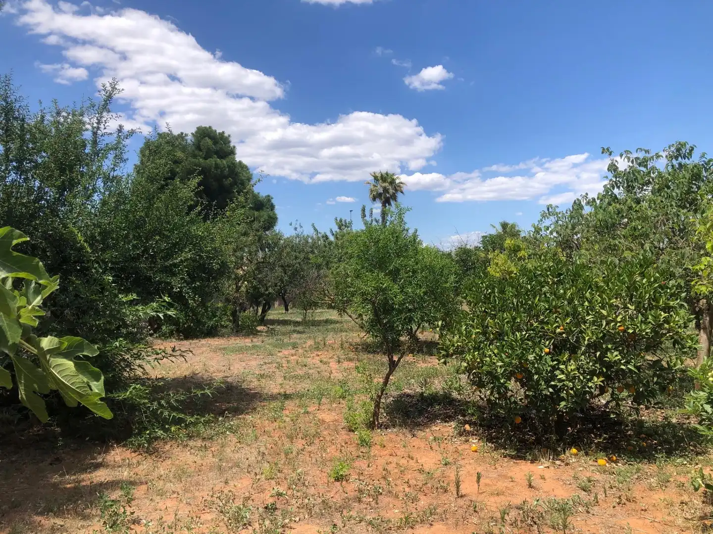 Xalet amb jardí en venda a Pinos de Alhaurín - Periferia, imagen 35