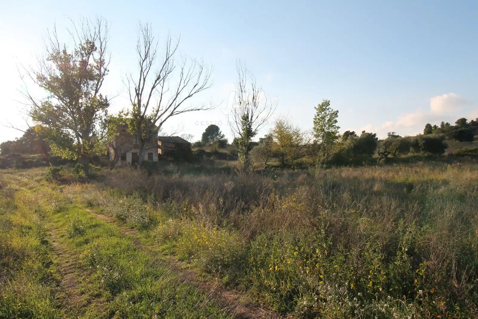 Xalet amb jardí en venda a Jorba, imagen 14
