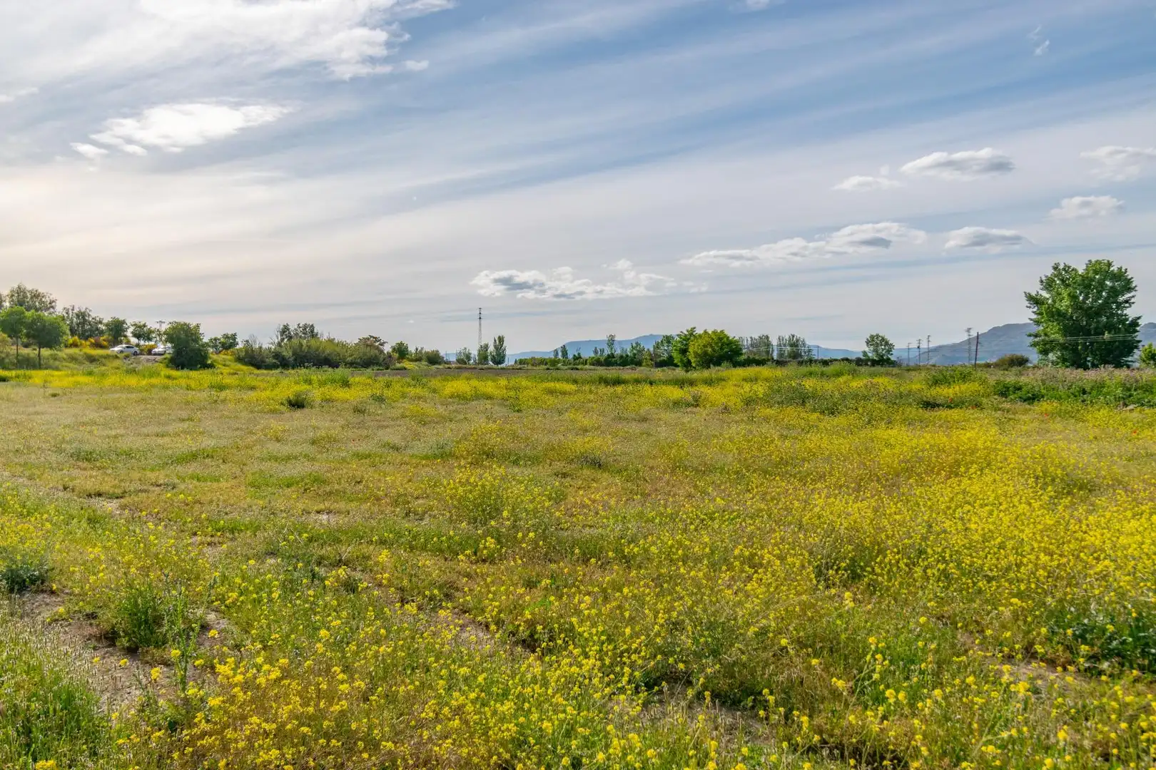 Lands and plots for sale in Polígono 9 Parcela 307 MARACHAT. GRANADA (GRANADA, imagen 31