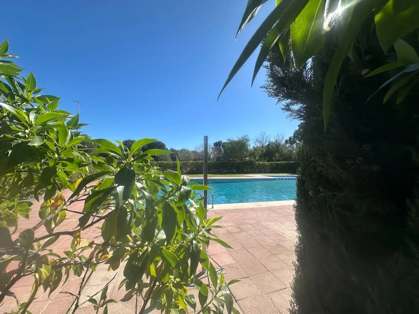 Schwimmbecken von Wohnung zum Verkauf in Cartagena mit Klimaanlage, Privatgarten und Möbliert