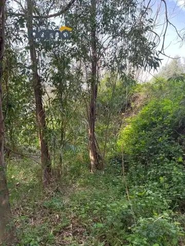 Rustikales Grundstück zum Verkauf in Camino Capilla