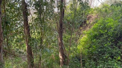 Finca Rústica en Lanjarón