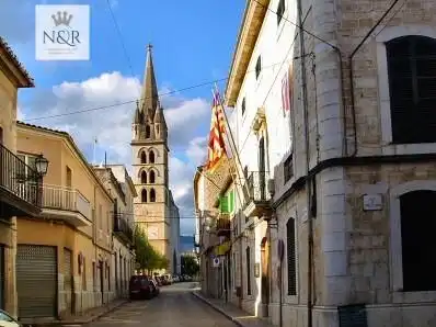Vista exterior de Finca rústica en venda en Binissalem amb Jardí privat, Terrassa i Traster