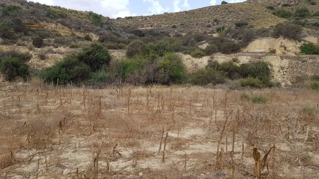 Terrenys i solars en venda a Sorbas, imagen 9