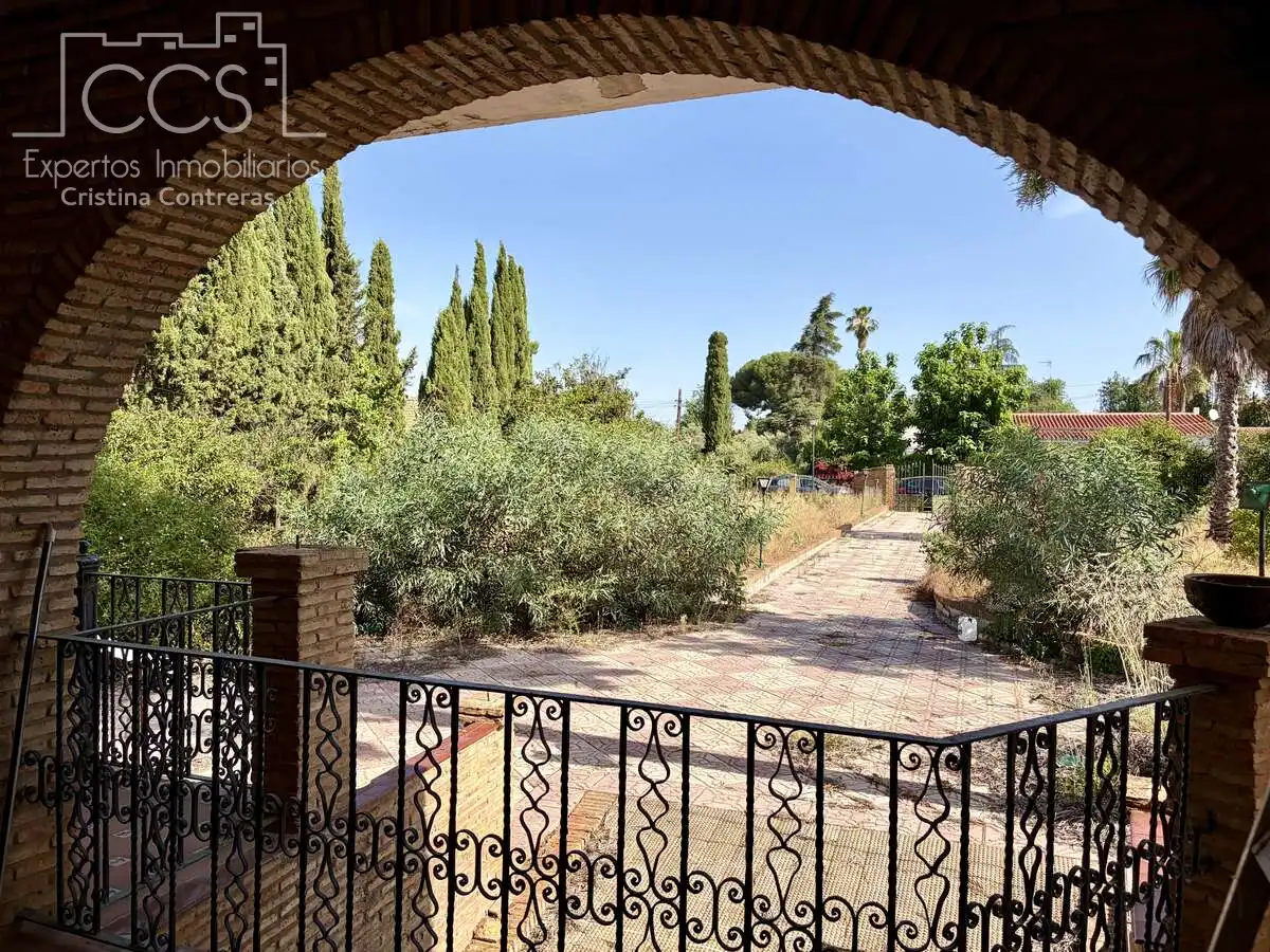 Jardí de Casa o xalet en venda en Mairena del Alcor amb Aire condicionat, Traster i Piscina