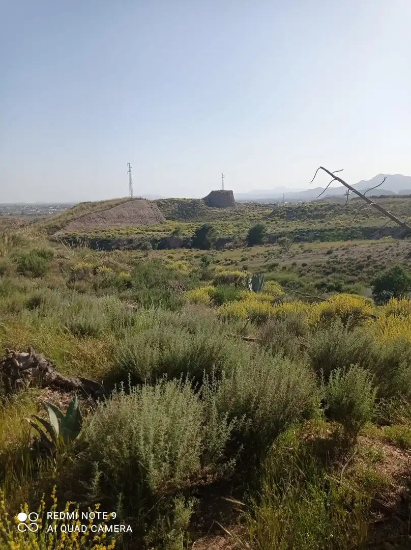 Terrains et parcelles à vendre à Pedanías Centro, imagen 12