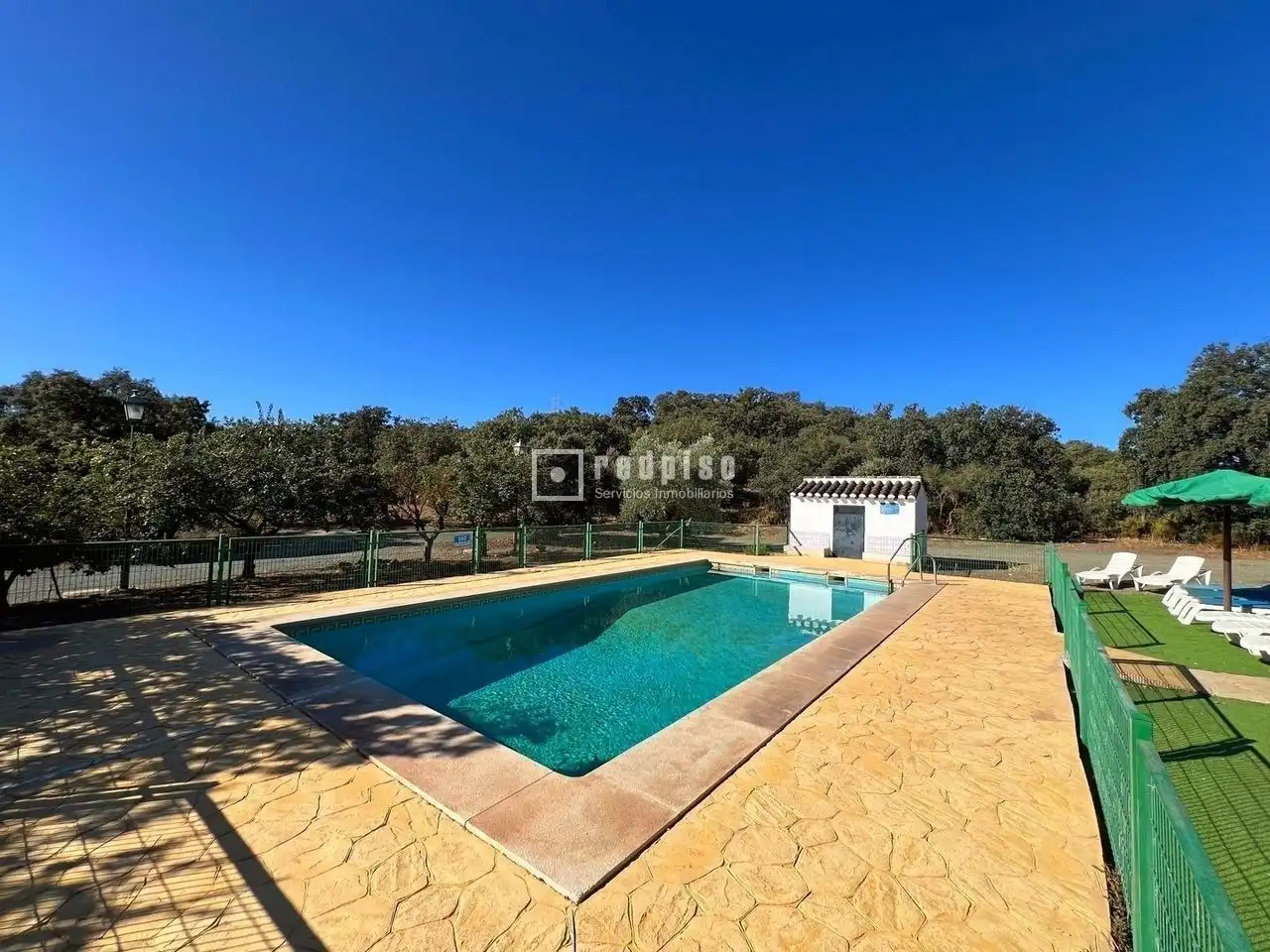 Piscina de Casa o chalet en venta en Archidona con Calefacción, Jardín privado y Terraza