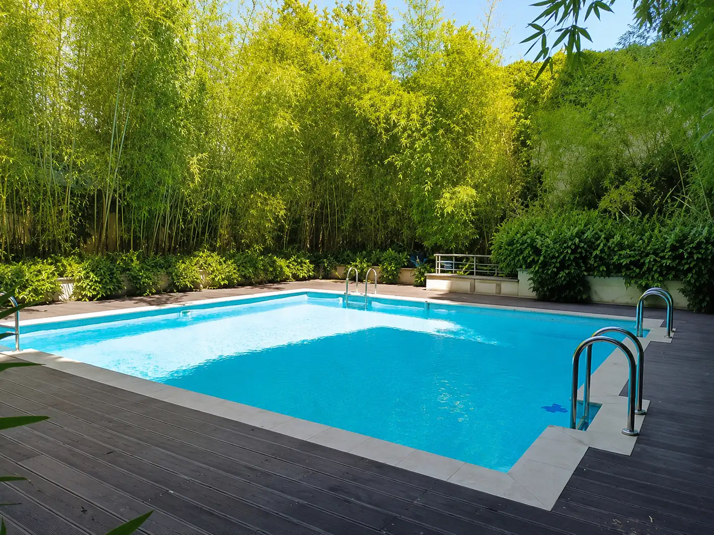 Swimming pool of Flat for rent in Madrid  with Private garden, Furnished and Community pool