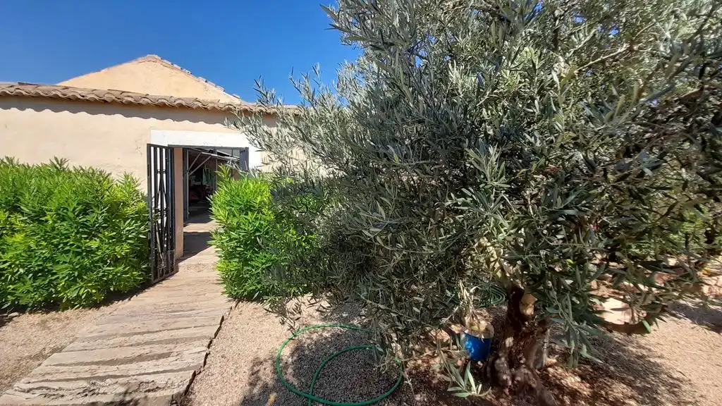 Jardín de Finca rústica en venta en Munera
