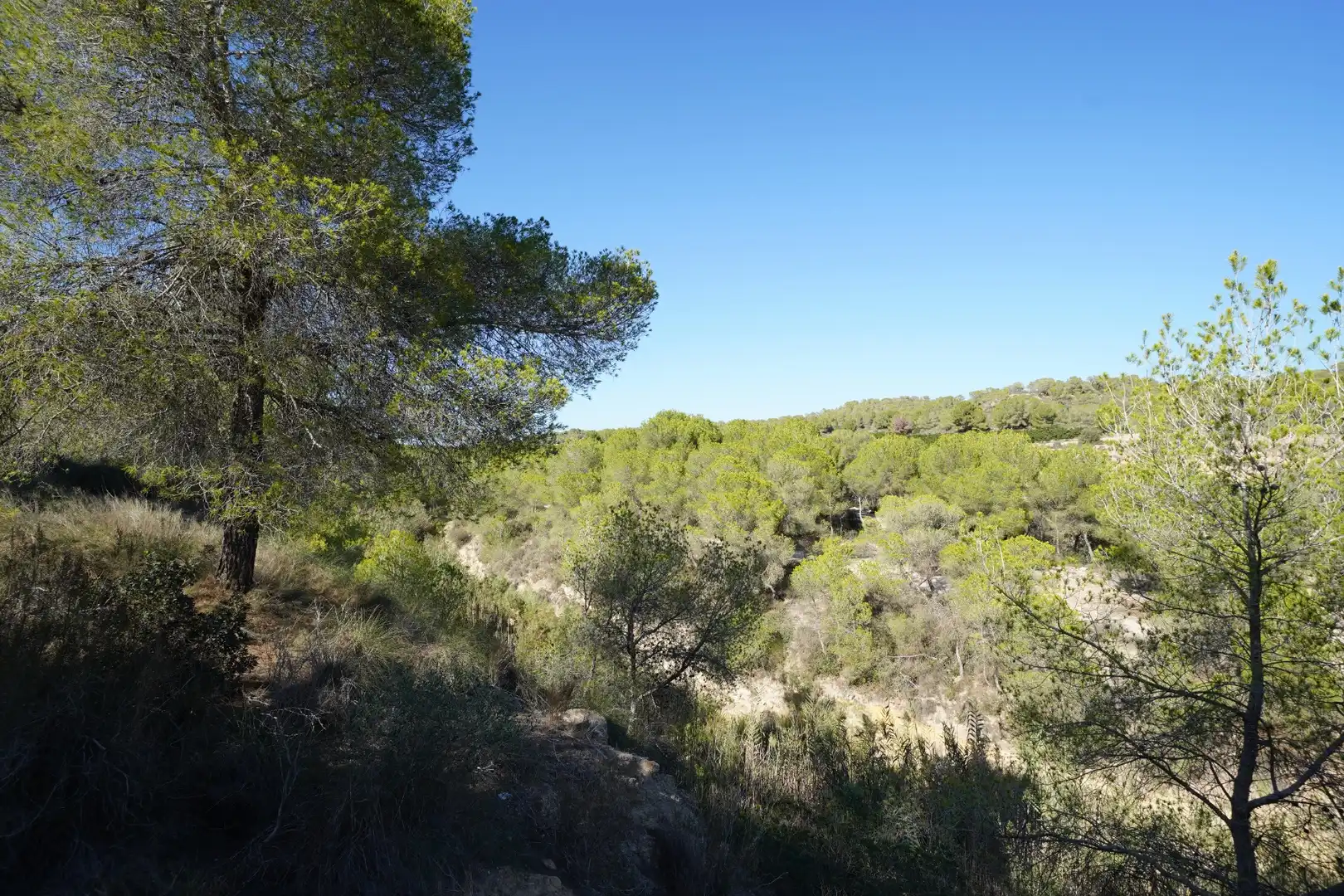 Terrenys i solars en venda a El Pinar de Campoverde, imagen 29