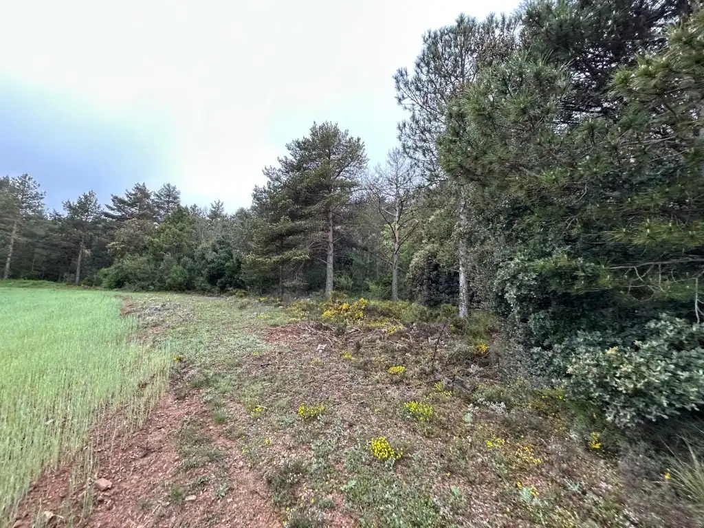Country homes for sale in El Toro