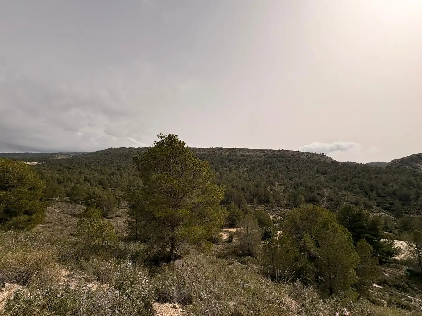 Wohnbaugrundstück zum Verkauf in Petrer, imagen 10