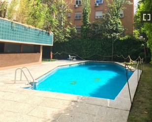 Swimming pool of Flat to rent in  Madrid Capital  with Air Conditioner, Heating and Furnished