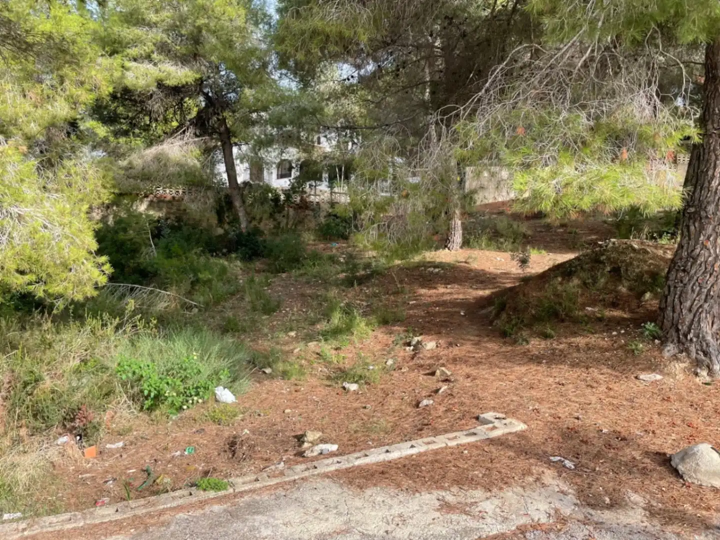 Terreny residencial en venda a El Portet - Pla de Mar, imagen 3