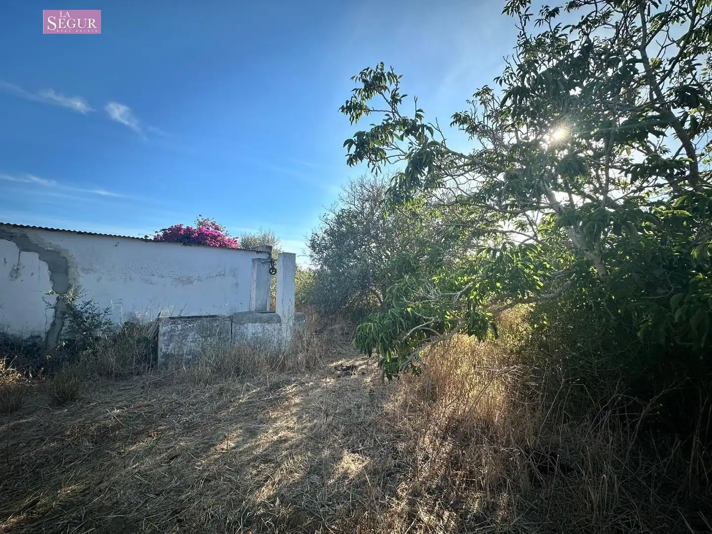 Terrenys i solars en venda a Pelagatos - Pago del Humo, imagen 14