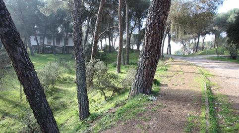 Photo 3 of Residential for sale in Cerro Muriano, Córdoba