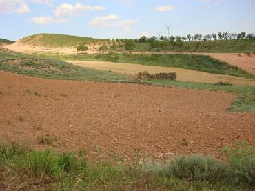 Terreno rustico in vendita a Villamediana de Iregua