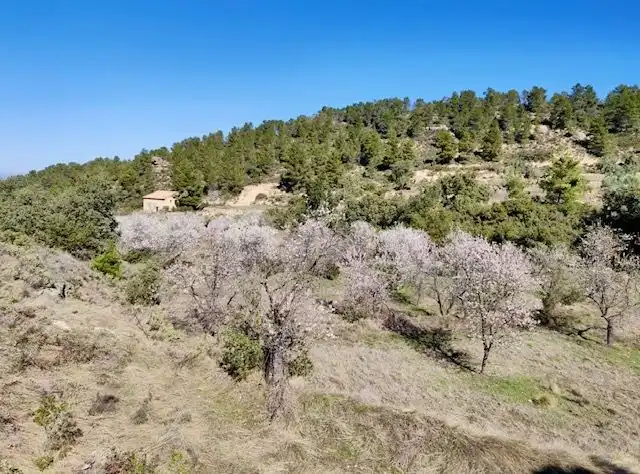 Terrenos y solares en venta en Valjunquera, imagen 15