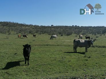 Terreni e lotti in vendita a Ruta de la Plata