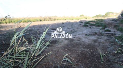 Foto 3 de Terreno en venta en Catral, Alicante